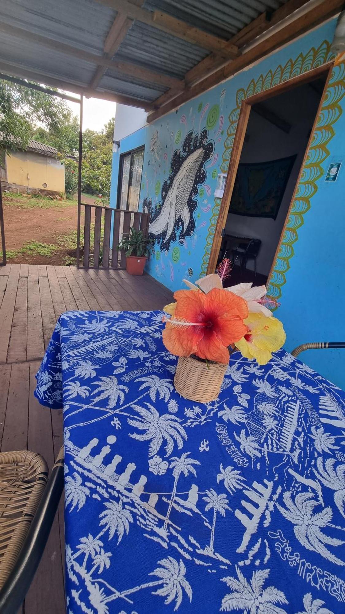 Cabanas Henua Roa Hanga Roa Chambre photo